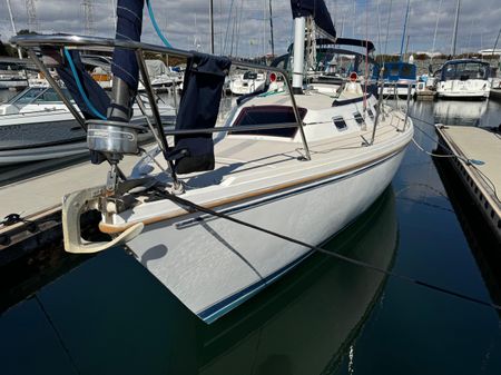 Catalina 34 image