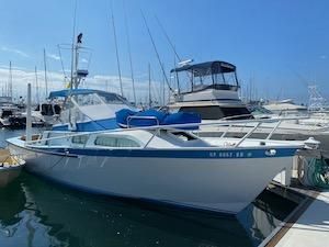 Striker 35