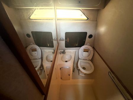 Sea Ray 340 Express Cruiser image
