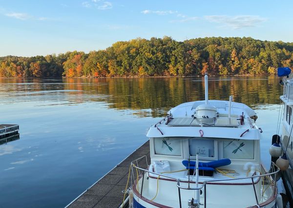 Sundowner-tug 30-TUG image