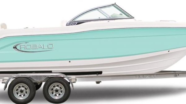 Robalo R207 Dual Console