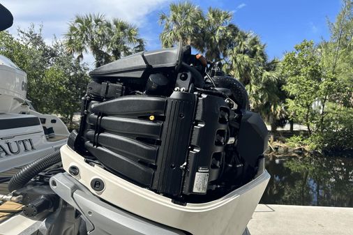 Sea Ray 290 SDX OUTBOARD image