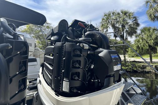 Sea Ray 290 SDX OUTBOARD image