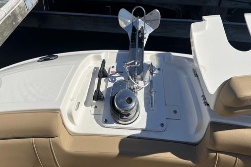 Sea Ray 290 SDX OB image