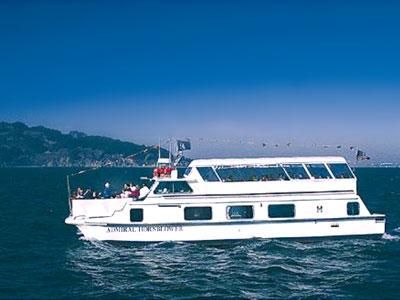 Carri-Craft Passenger - main image