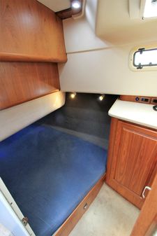 Mainship 350-TRAWLER image