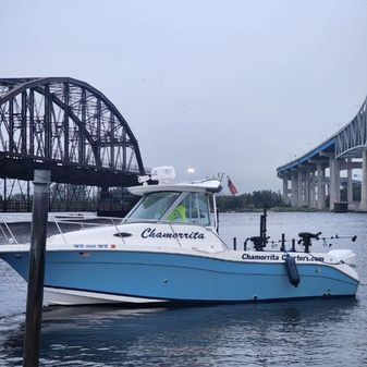 Seaswirl Striper 2601 Walkaround O/B image