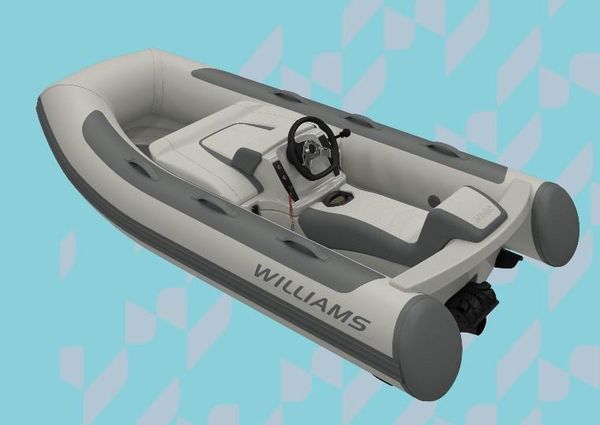 Williams Jet Tenders MiniJet 280 image