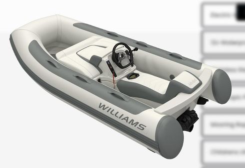 Williams Jet Tenders MiniJet 280 image