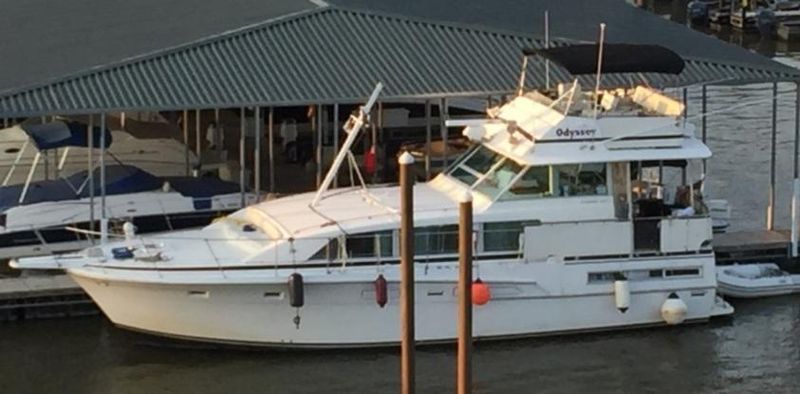 Bertram 46 Flybridge Motor Yacht - main image