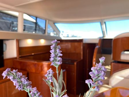 Princess 45 Flybridge image