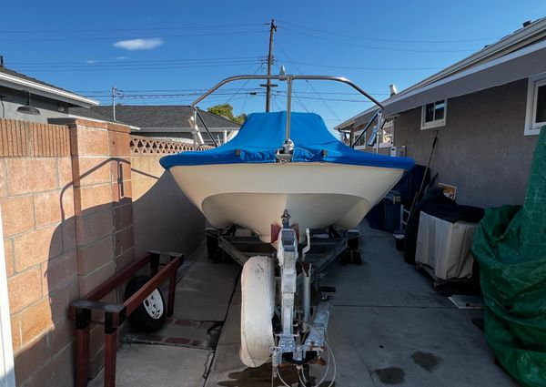 Boston-whaler MONTAUK image