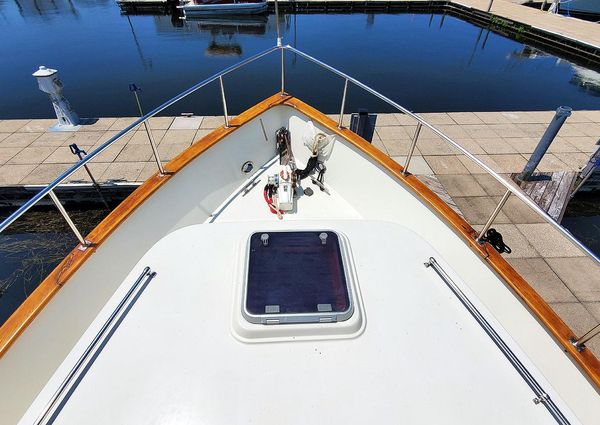 Transpacific Marine Eagle Pilothouse Trawler image