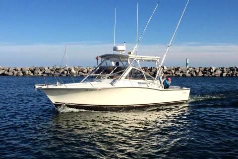 Carolina Classic 28