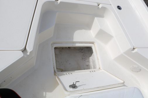Skeeter SX 230 image