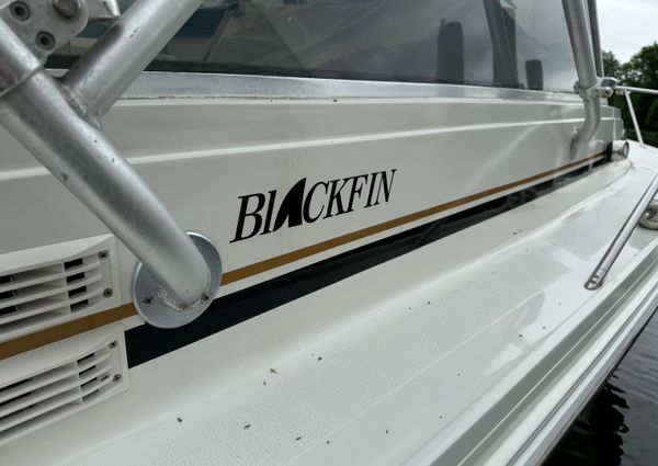 Blackfin 29-EXPRESS image