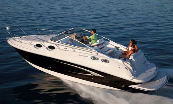 Glastron GS 289