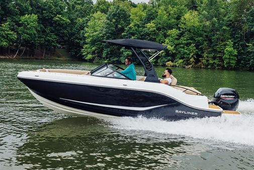 Bayliner D20 image