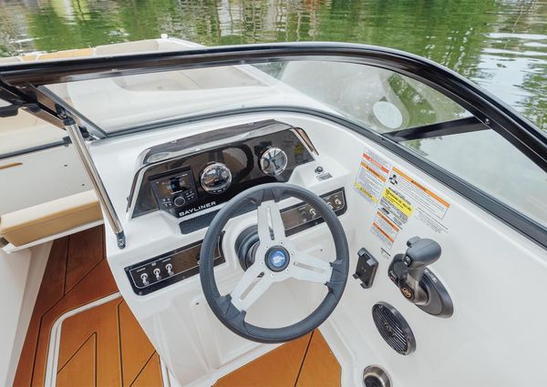 Bayliner D20 image