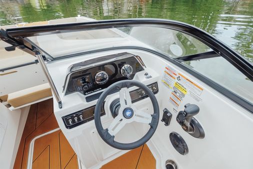 Bayliner D20 image