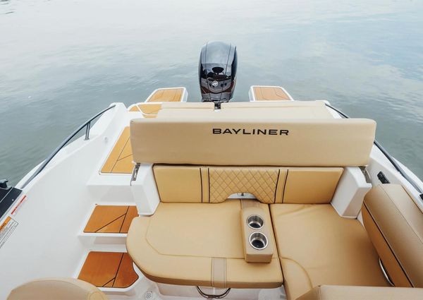 Bayliner D20 image