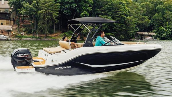 Bayliner D20 