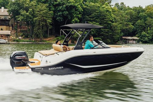 Bayliner D20 image