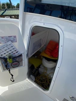 Sea Hunt 25 Gamefish image