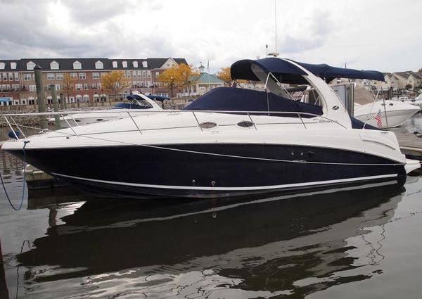 Sea Ray 300 image