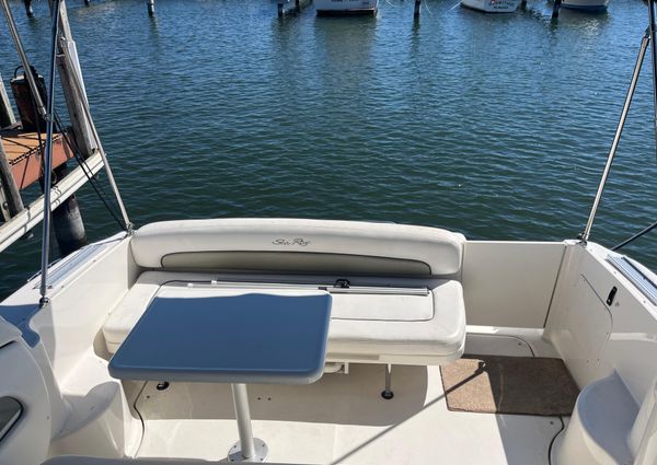 Sea Ray 300 image