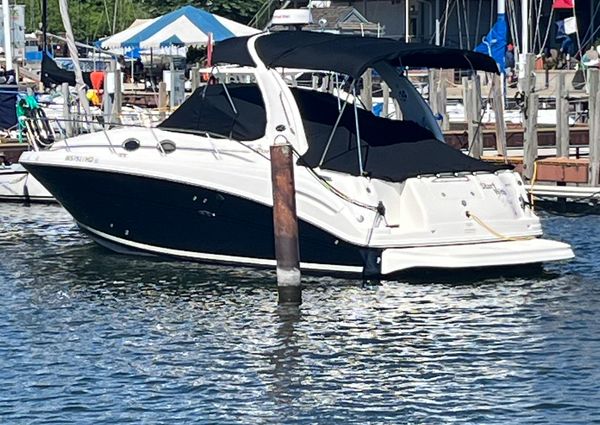 Sea Ray 300 image