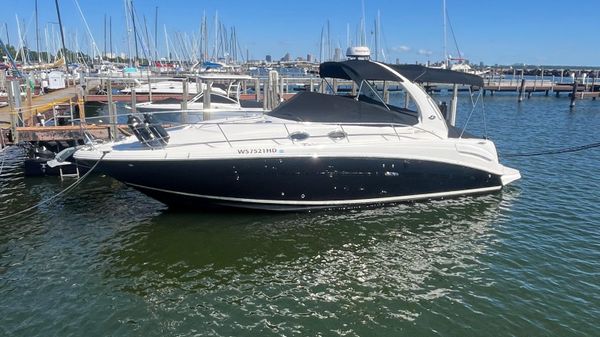 Sea Ray 300