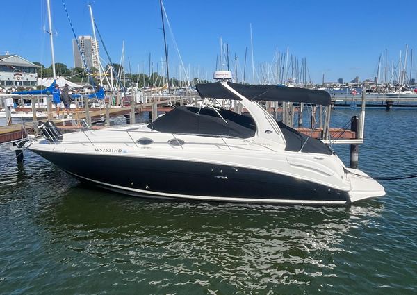 Sea Ray 300 image