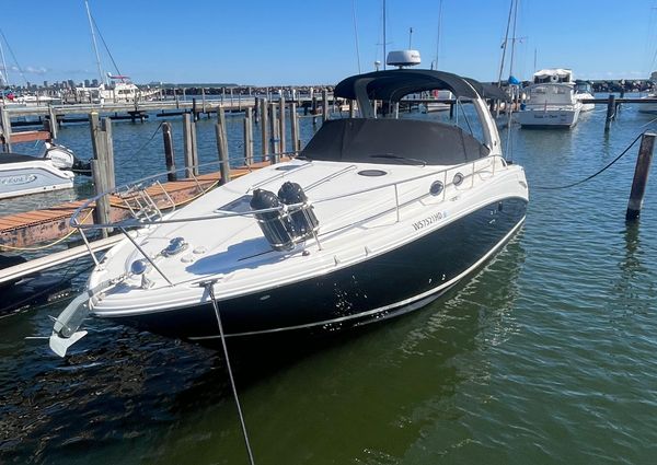 Sea Ray 300 image