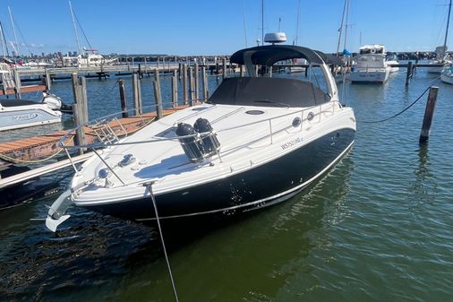 Sea Ray 300 image