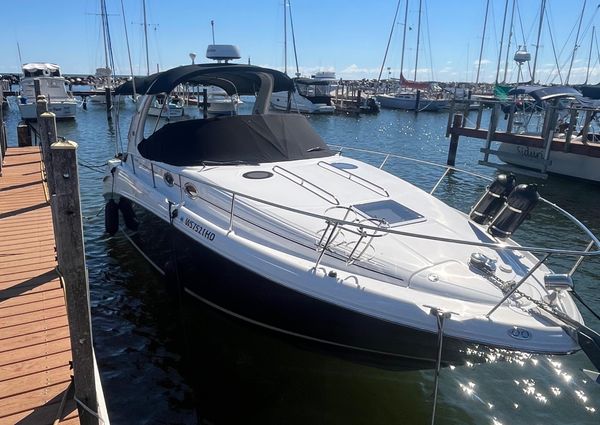 Sea Ray 300 image