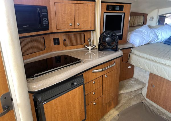 Sea Ray 300 image