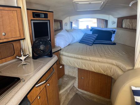 Sea Ray 300 image