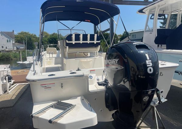 Boston-whaler 210-MONTAUK image