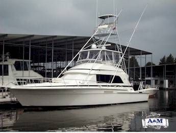 Bertram Sport Fish