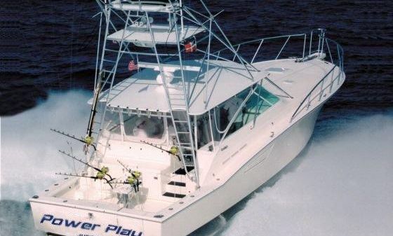 Cabo Yachts Express
