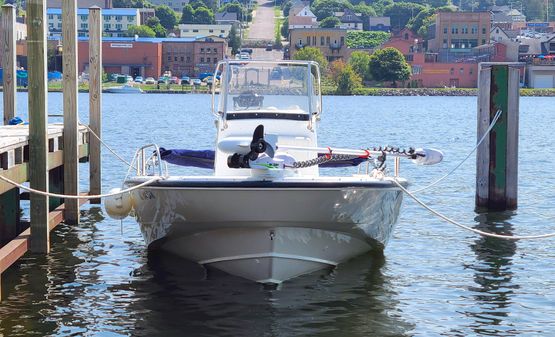 Boston Whaler 22 Dauntless image