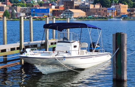 Boston Whaler 22 Dauntless image