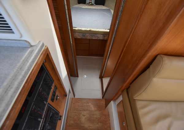 Cabo 35-FLYBRIDGE-SPORTFISHER image