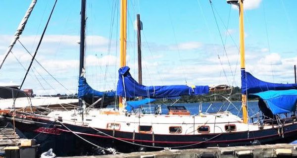 CHB Angelman 36