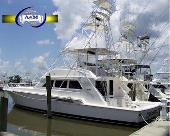 Bertram Sport Fish