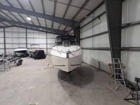 Rinker 250 Fiesta Vee image