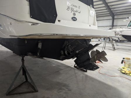 Rinker 250 Fiesta Vee image