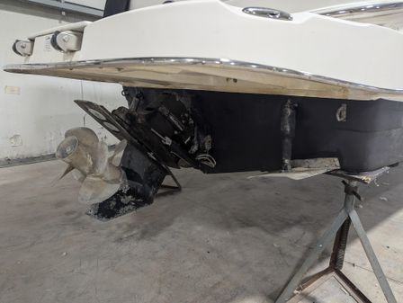 Rinker 250 Fiesta Vee image