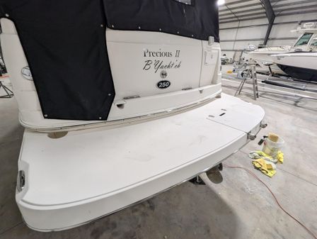 Rinker 250 Fiesta Vee image